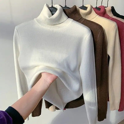 Women Elegant Turtle Neck Sweater