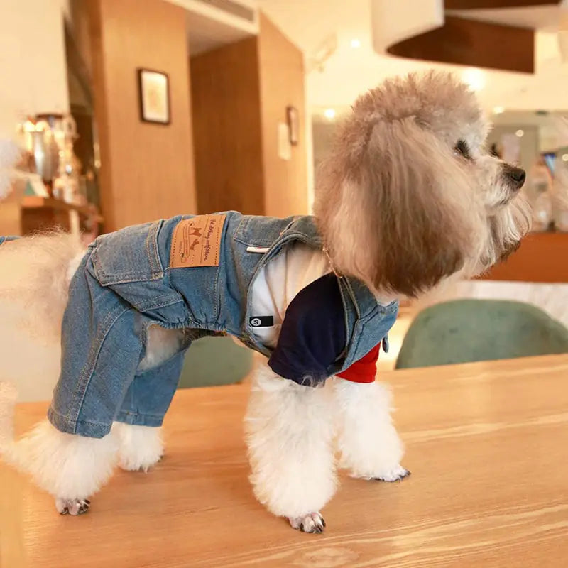 Denim Pet Dog Clothes Jumpsuits - Simply Great Gear