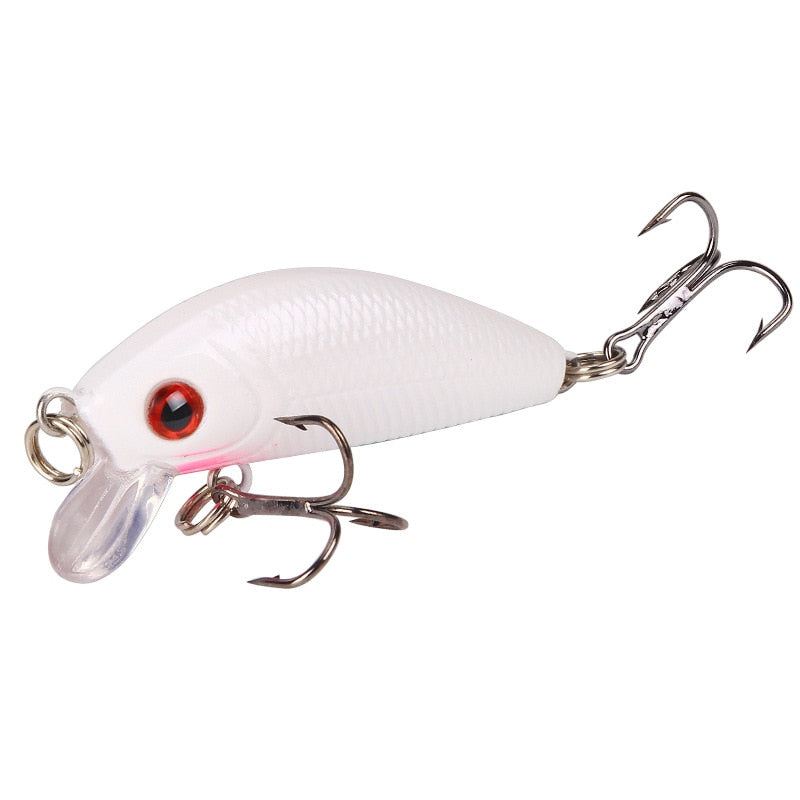 1 Piece Minnow Fishing Lure - Simply Great Gear