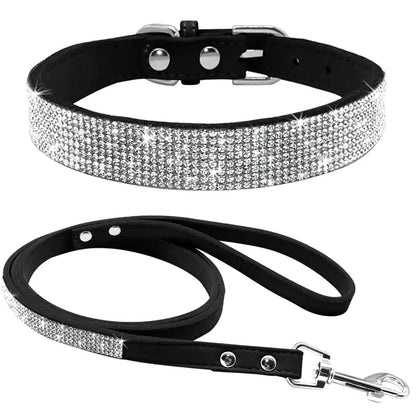 Pet Collar - Simply Great Gear