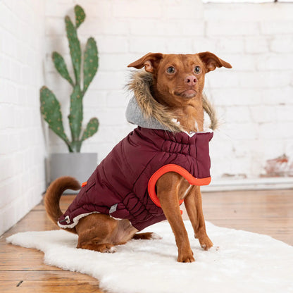 Dog Winter Sailor Parka - Burgundy