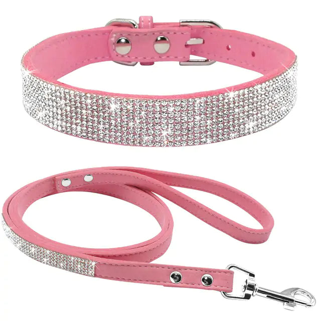 Pet Collar - Simply Great Gear