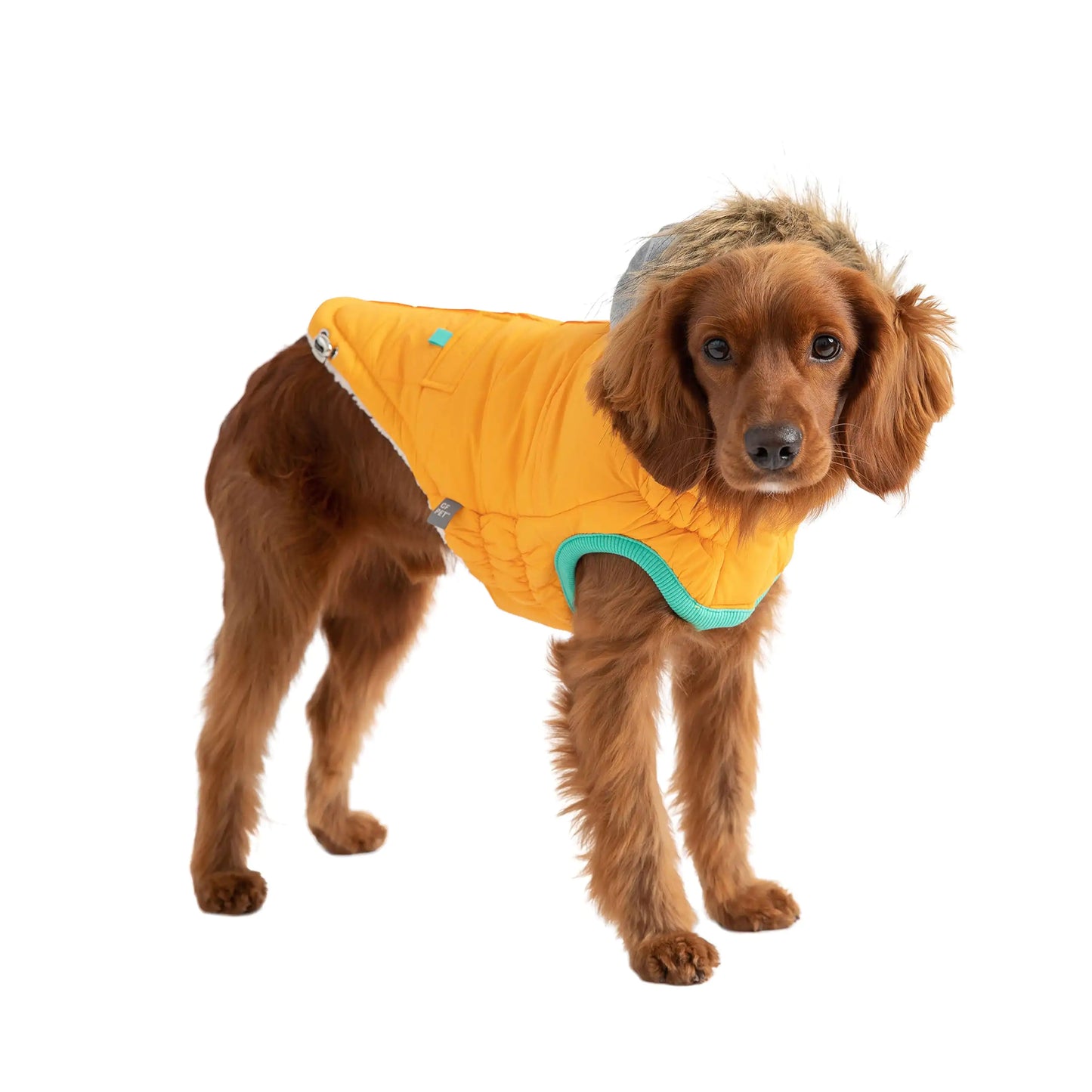 Dog Winter Sailor Parka - Yellow