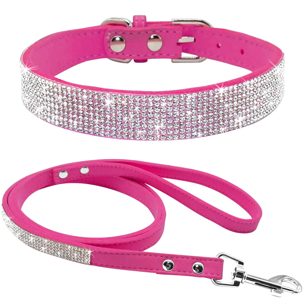 Pet Collar - Simply Great Gear