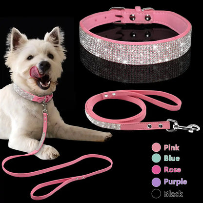 Pet Collar - Simply Great Gear