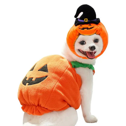 Pet Pumpkin Set Halloween Costume - Simply Great Gear