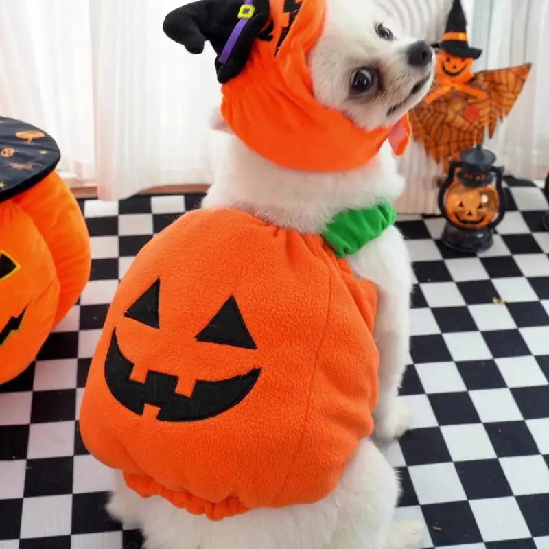 Pet Pumpkin Costume, Dog Funny Halloween Hat Cloth Suit, Adjustabe Cosplay Party Apparel For Cat Kitten Puppy