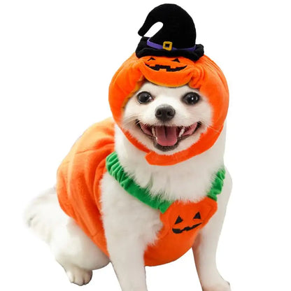 Pet Pumpkin Set Halloween Costume - Simply Great Gear