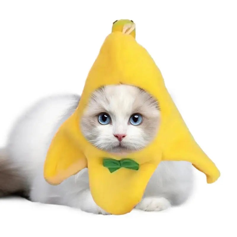 Halloween Cat Banana Costume