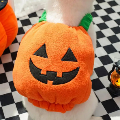 Pet Pumpkin Set Halloween Costume - Simply Great Gear