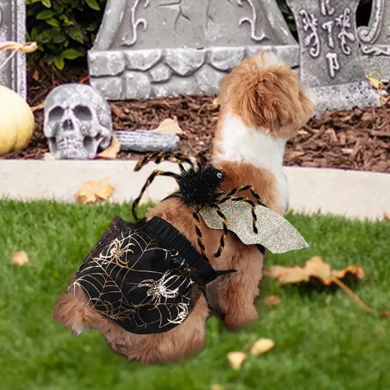 Pet Spider Halloween Costume