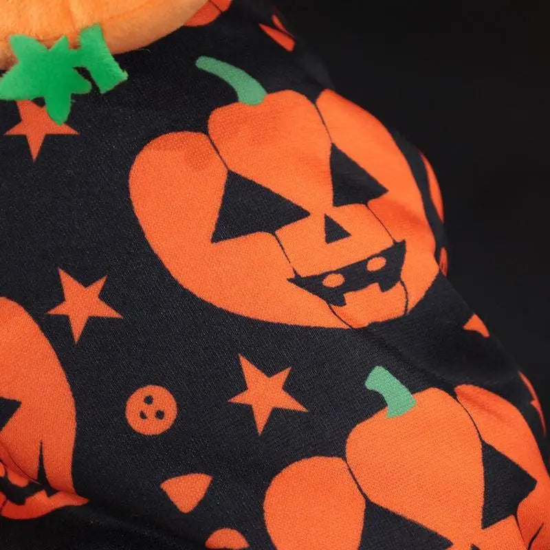 Pet Pumpkin Halloween Hoodie