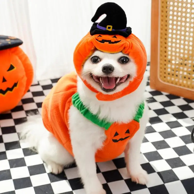 Pet Pumpkin Costume, Dog Funny Halloween Hat Cloth Suit, Adjustabe Cosplay Party Apparel For Cat Kitten Puppy