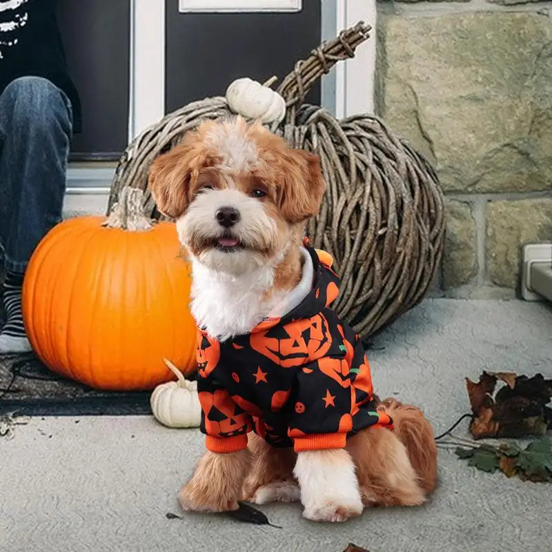 Pet Pumpkin Halloween Hoodie