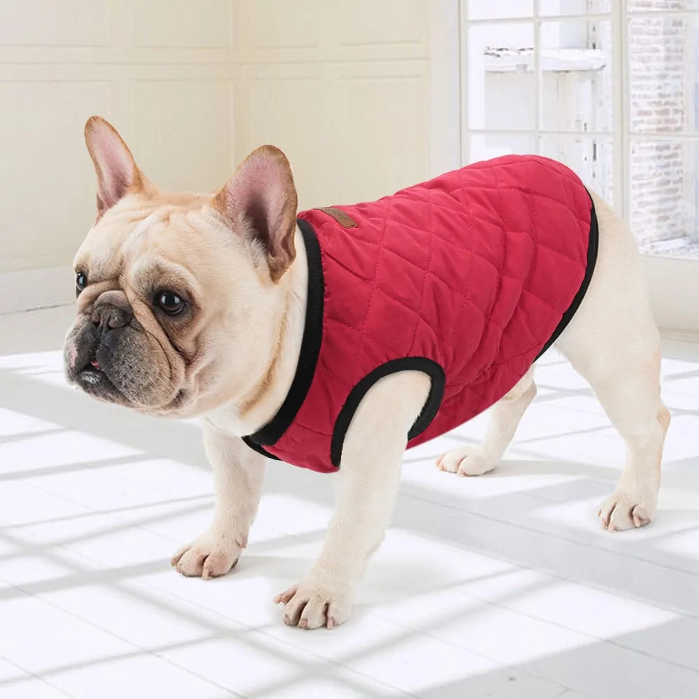 Warm And Stylish Pet Clothes - Simply Great Gear