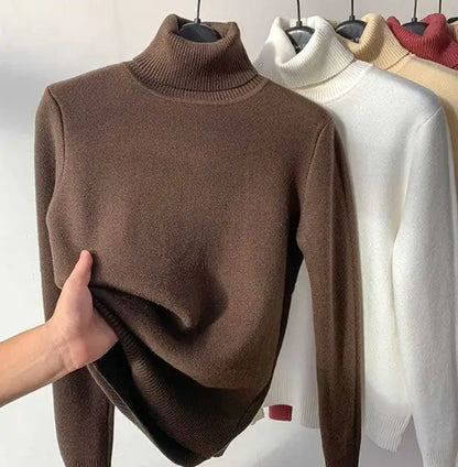 Women Elegant Turtle Neck Sweater