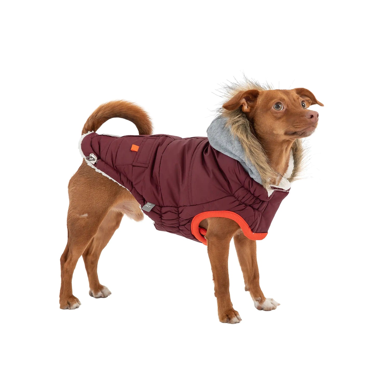 Dog Winter Sailor Parka - Burgundy