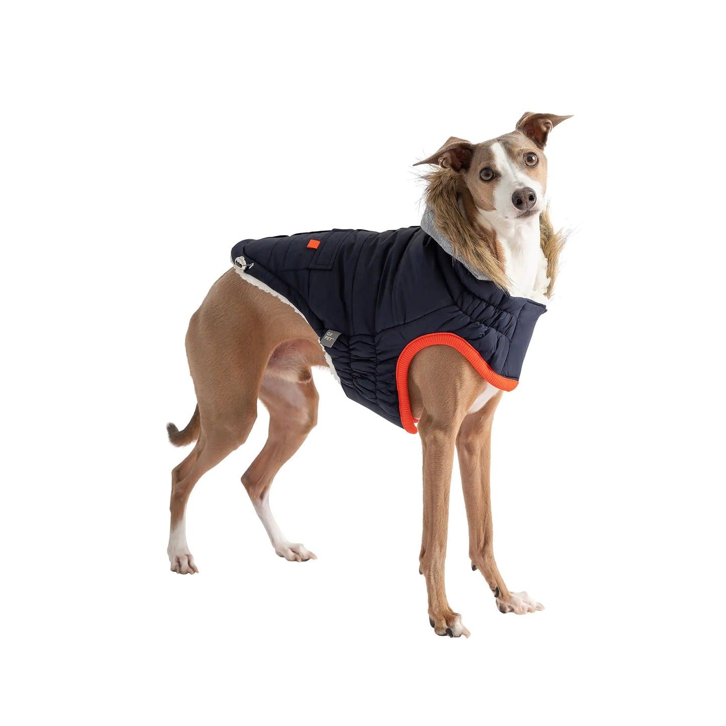 Dog Winter Sailor Parka - Navy