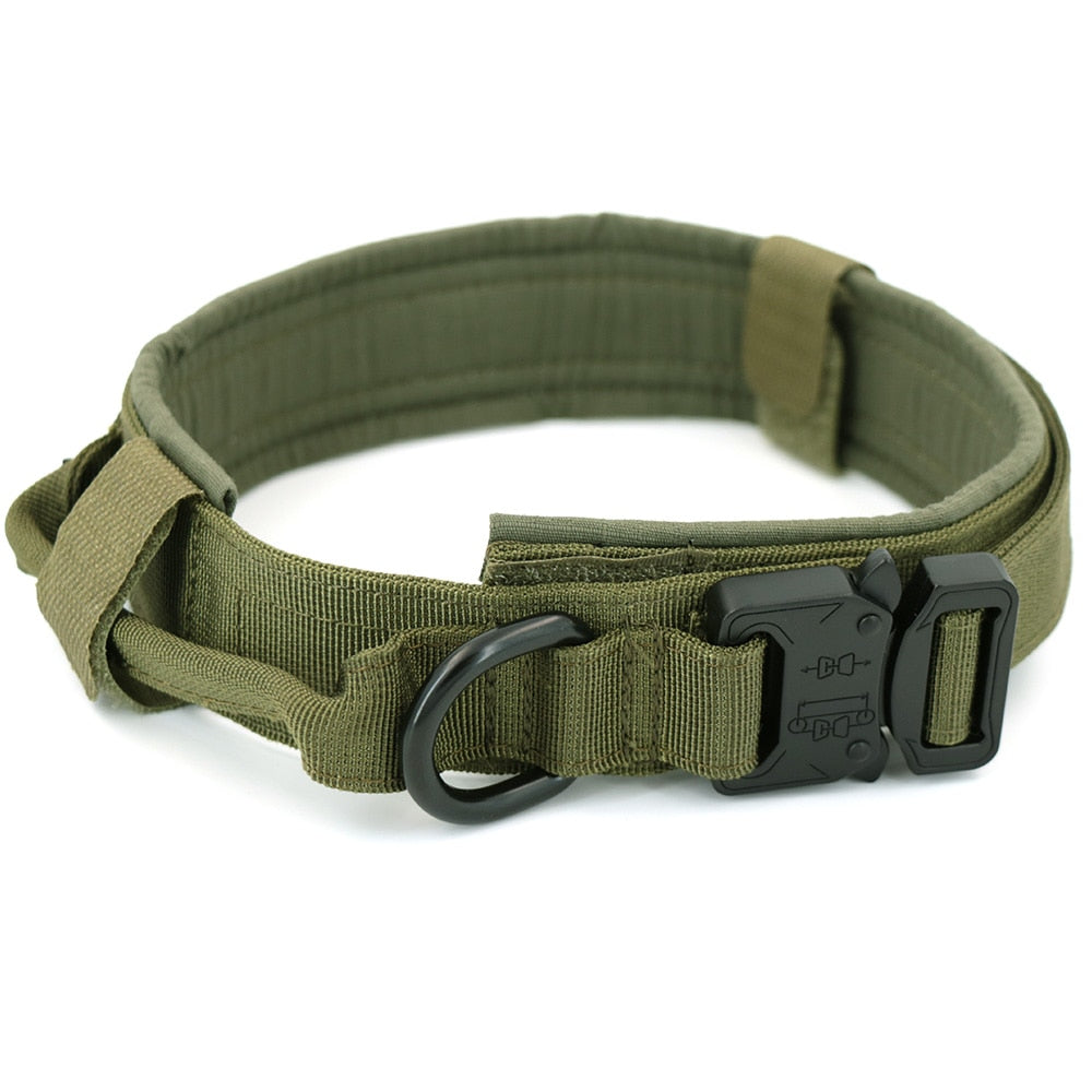 Dog Collar - Simply Great Gear