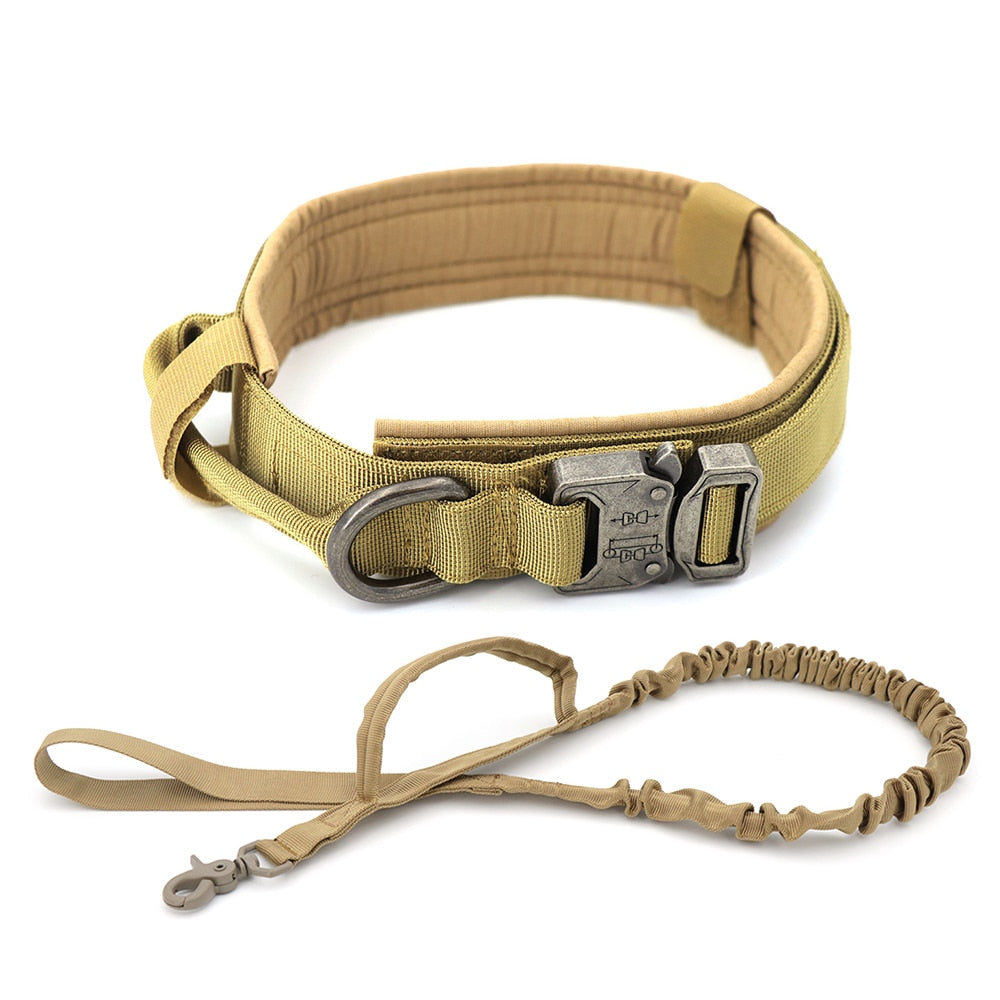 Dog Collar - Simply Great Gear