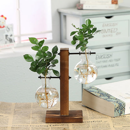 Hydroponic Transparent Plant Vases - Simply Great Gear