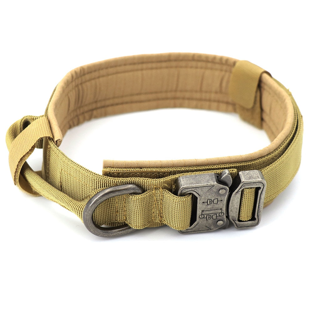 Dog Collar - Simply Great Gear