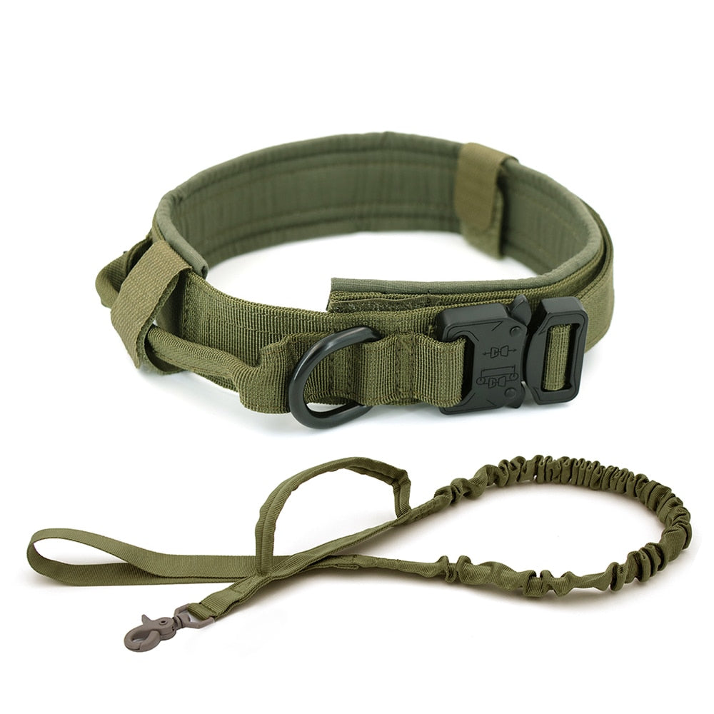 Dog Collar - Simply Great Gear