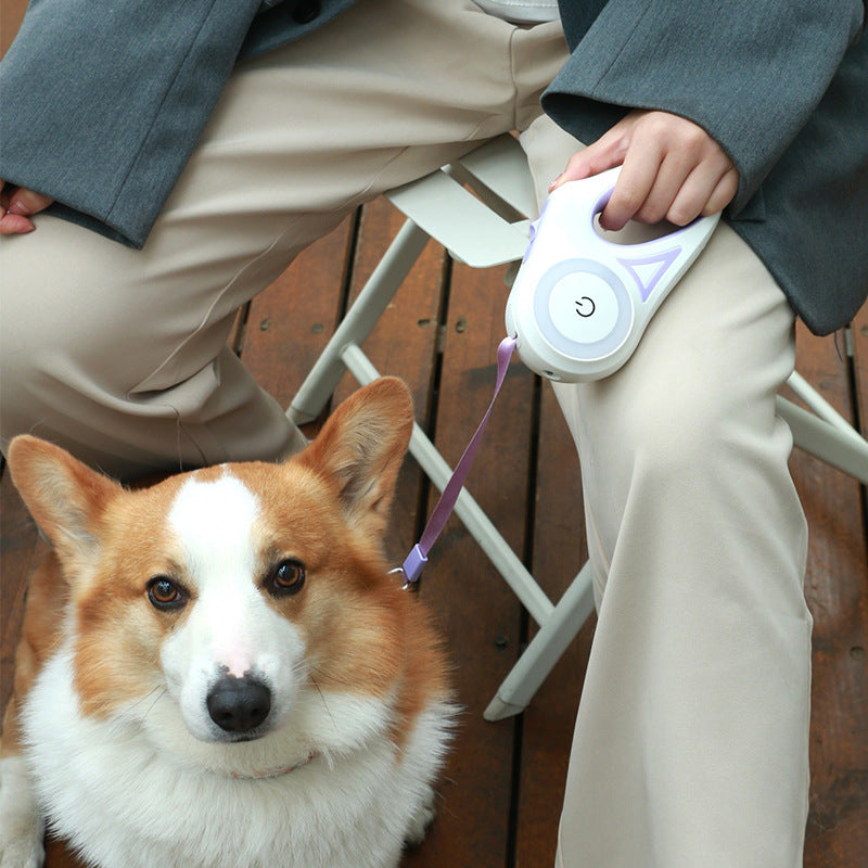 Led Lights Dog Leash - Simply Great Gear